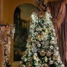 Mrs. Kemp  's Christmas tree from Houston, Texas, USA