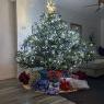 Judi Morse's Christmas tree from Lakewood, Ohio