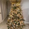 Annabelle 's Christmas tree from Bronx, New York 