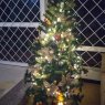 Manuela Cordero's Christmas tree from Anapoima, Cundimarca Colombia