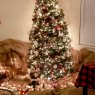 Weihnachtsbaum von Christmas tree Bethlehem theme  (Virginia Beach )