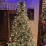 Árbol de Navidad de Rob tremblay (Hebron Maryland)