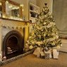 Sapin de Noël de Kate Kelly (Wirral, Merseyside, UK)