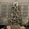 Sapin de Noël de Ratcliff Family Tree (Shenandoah,Pa)