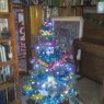 Angeles Nicolini - Gualeguaychu Entre Rios 's Christmas tree from Argentina