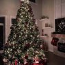 Katherine Chubbs's Christmas tree from Edmonton, Alberta, Canada 