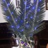 Árbol de Navidad de Cloye (Arges)