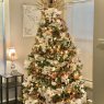 Lacie Sylvester Lejeune's Christmas tree from Opelousas, Louisiana  USA