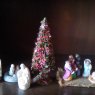Icasap's Christmas tree from Rosario, Argentina