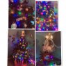 Covid-19 2020's Christmas tree from San Jose California 