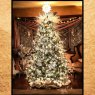 Christmas covid 2020's Christmas tree from Yorktown heights New York