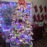 Weihnachtsbaum von Matt?s Coca Cola tree (Springdale, Ar)