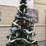 Árbol de Navidad de The Tree of 2020 (Harrisburg, NC)