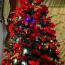 Graciela Mila Espasandin's Christmas tree from Montevideo, Uruguay 