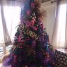 Henry schucht's Christmas tree from Makakilo hawaii