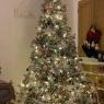 Weihnachtsbaum von PP (West yorkshire)