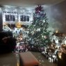 yahaira bermudez's Christmas tree from Bronx, NY ,USA