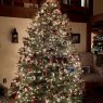 charles Jorda's Christmas tree from Dallas Pa, USA