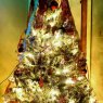 Tree of Jesus Christ's Christmas tree from Birmingham Al