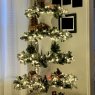 Silvia Hernandez's Christmas tree from Cary, NC, USA