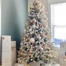 Árbol de Navidad de Tina Sanford (Wendell NC)
