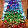 Weihnachtsbaum von Damian Smith (Dublin, Ireland )