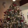 Weihnachtsbaum von Laura Ramos (Tempe, AZ. US)