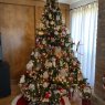 Árbol de Navidad de Emily Elkins (Houston, Tx)