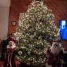 Elaine Hall's Christmas tree from Hubbardton, VT