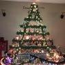 Village tree's Christmas tree from Vauxhall Alberta Canada 