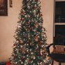 Árbol de Navidad de AlexGomez Tree! (Tampa, Florida)