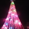 Kevin's Christmas tree from Solis pizarro M g lote 19