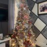Rolanda Blanco's Christmas tree from Jersey city Nj