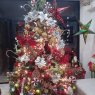 Árbol de Navidad de Mildred Jimenez (Valencia, Venezuela)