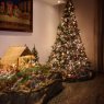 Armando Alvarez 's Christmas tree from Lima Peru 