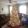 Sandra Gomez's Christmas tree from Cumberland RI