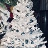 Caroline Garcia's Christmas tree from St-Sauveur, Canada 