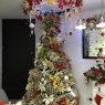 María victoria hoyos's Christmas tree from Cali colombia 