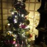 Dany's Christmas tree from Zaragoza