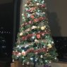 cathy & charles's Christmas tree from Airlie Beach Australia