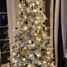 DeWayne D Torsell's Christmas tree from White Marsh, MD 