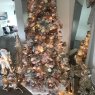 Lynda Australia's Christmas tree from Brisbane, Queensland, Australia