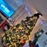 Maria Gonzalez's Christmas tree from Mexico, Mexico