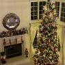 Sapin de Noël de Big Tree (Medford, NJ)