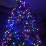 Robert BRIGGS's Christmas tree from Wellington KS USA