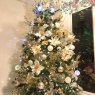 Lilia Aideé's Christmas tree from Bucaramanga - Colombia