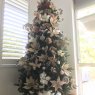 Tanya M's Christmas tree from Perth, Australia 