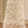 Weihnachtsbaum von Invisible tree (Lafayette,  LA USA)