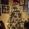 Chris Williams's Christmas tree from Darlington MD