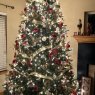 Abigail 's Christmas tree from Iowa City, IA, USA